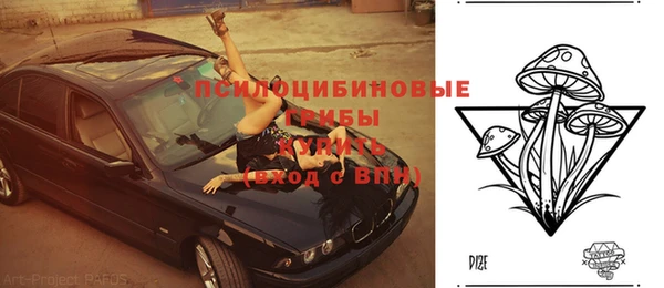 ешки Нефтекумск