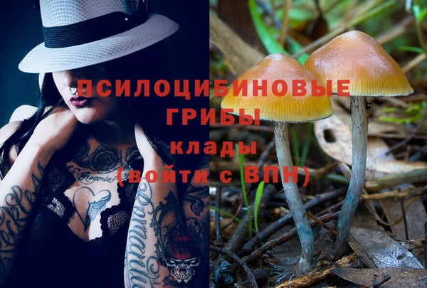 меф Горнозаводск