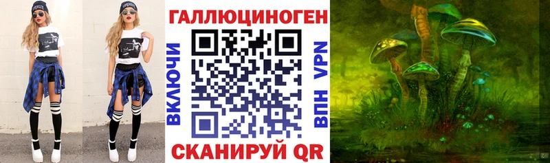 blacksprut как войти  Приморск  Псилоцибиновые грибы прущие грибы  наркотики 